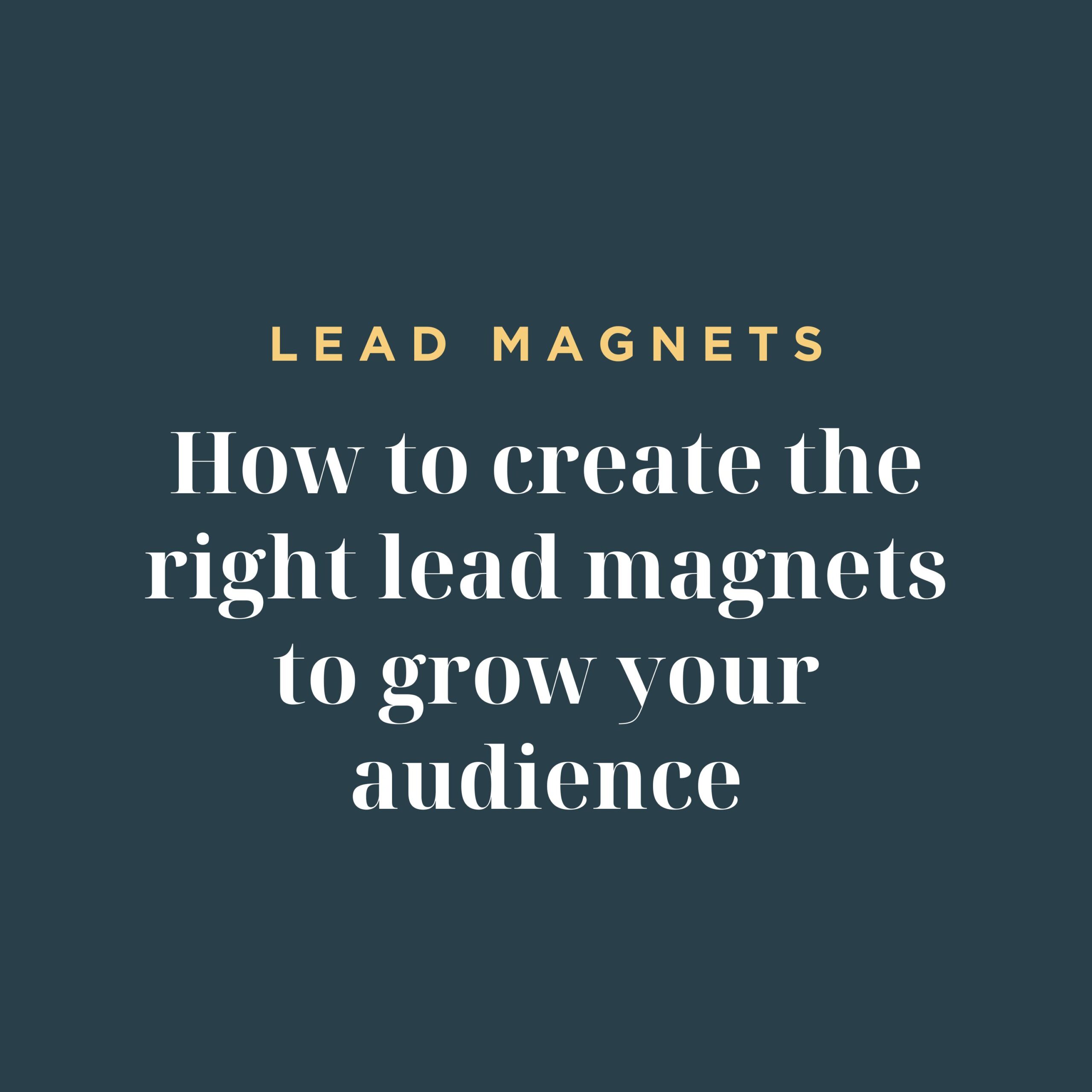 create lead magnet for your customer avatar when you start your online business